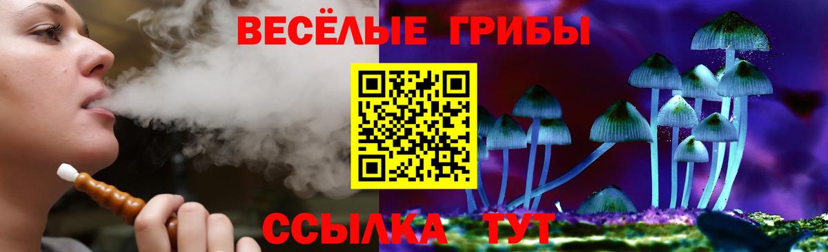 Советский  Псилоцибиновые грибы мухоморы  Вход с VPN  Галлюциногенные грибы прущие грибы 